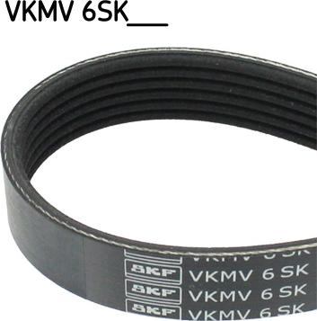 SKF VKMV 6SK1019 - Ιμάντας poly-V asparts.gr